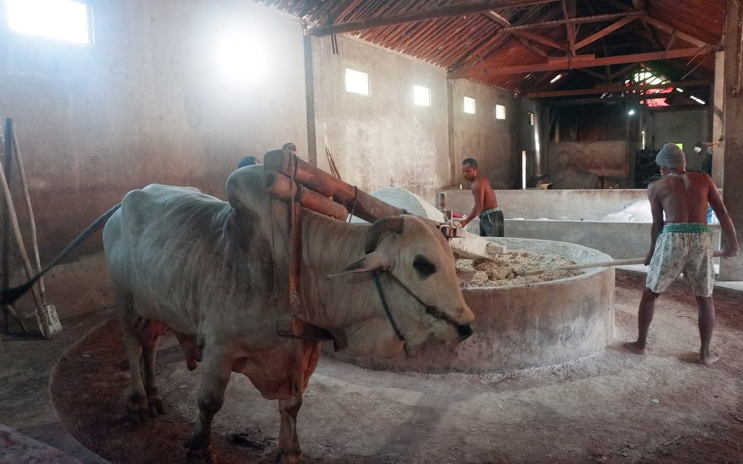 Visits Lethek noodle mill for the authentic yogyakarta local food