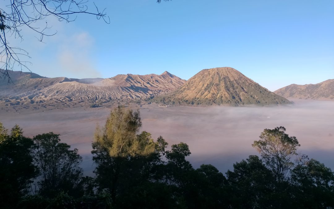 Discover Bromo / TumpakSewu: Transfer by Private Driver Yogyakarta in One way.