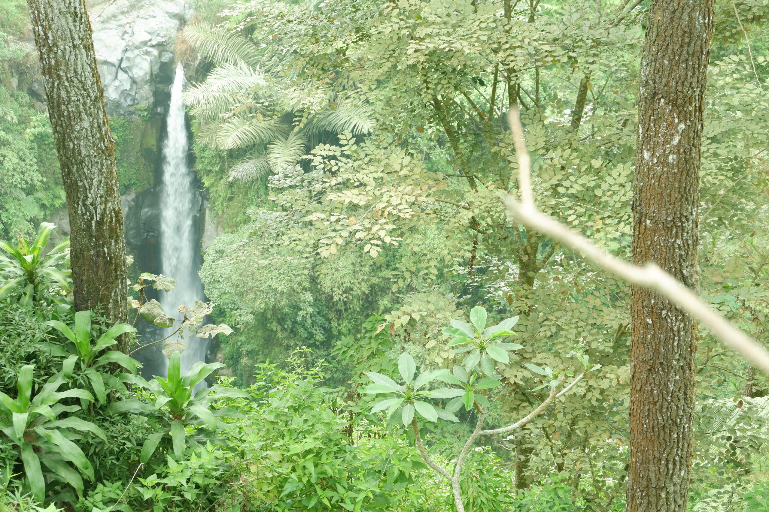kedungkayang waterfall kedungkayang waterfall