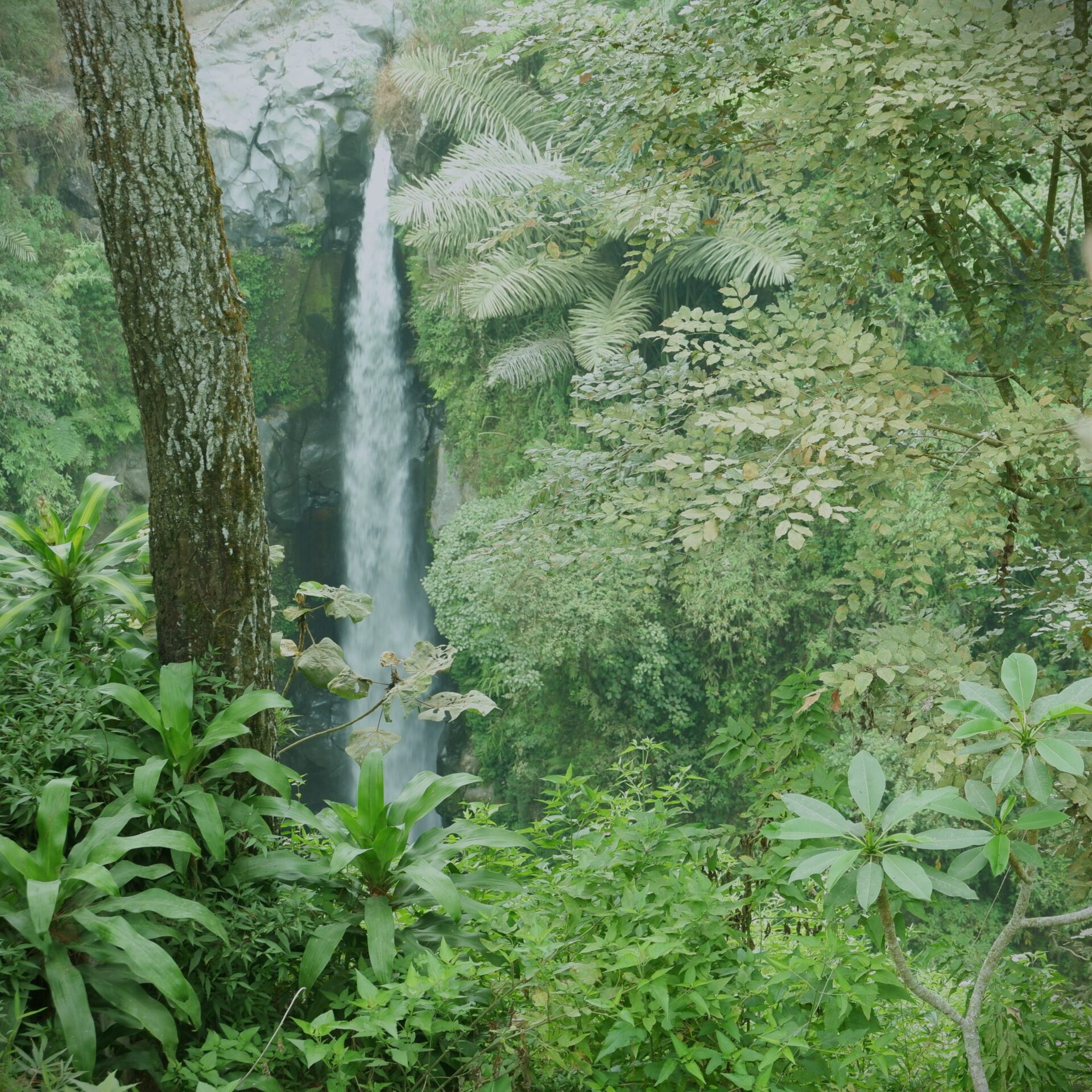 kedung kayang waterfall