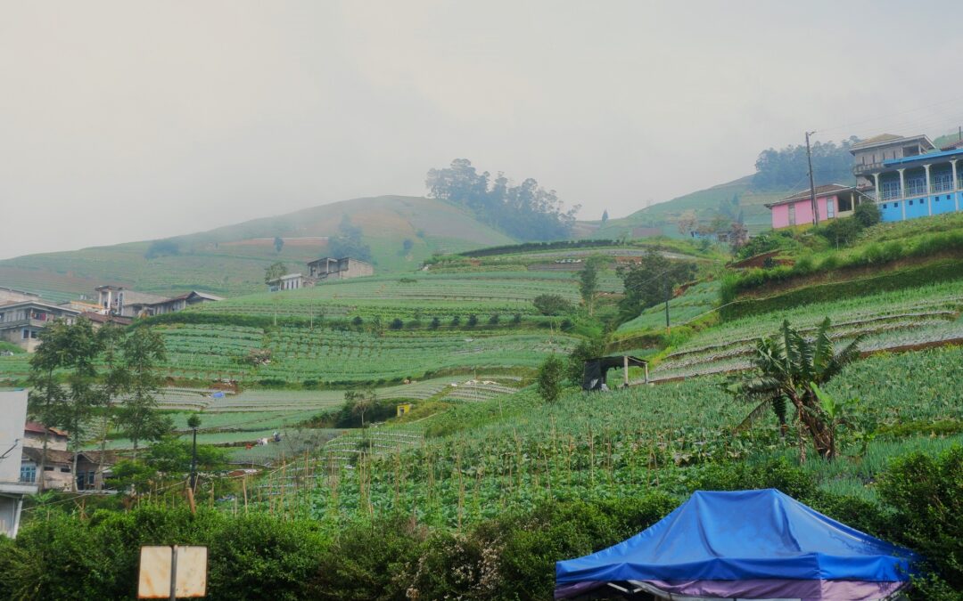 Hidden Stops on the Way to Dieng