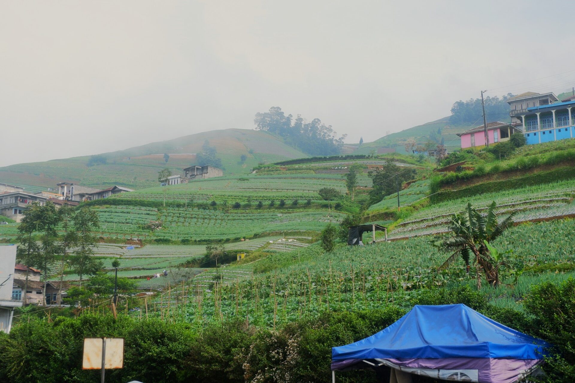view at road side to dieng plateau