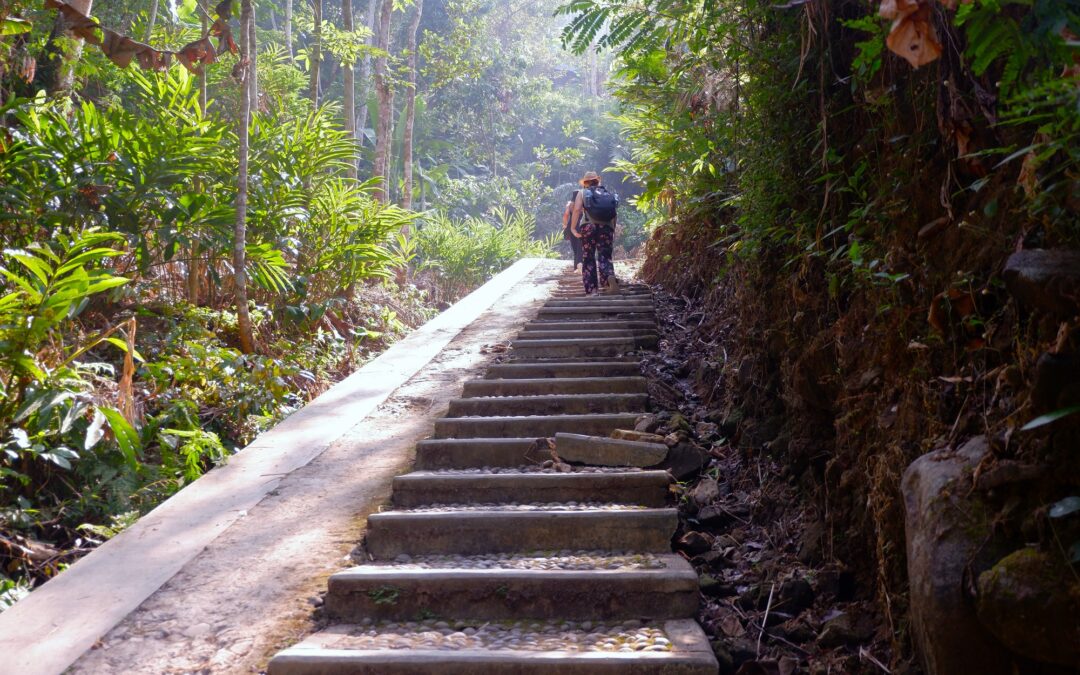 Day Trip Exploration: Yogyakarta to Semarang Heritage Tour