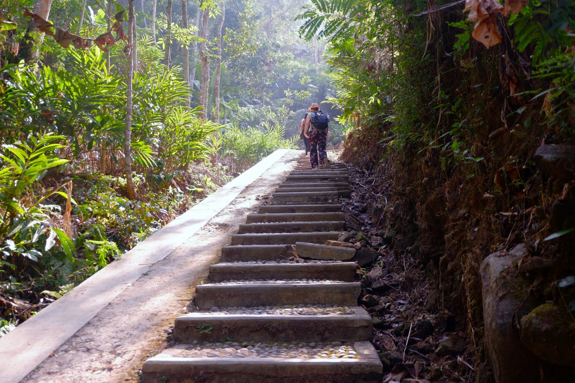 Tourists walking up the stone stairs surrounded by lush tropical trees on the way to Selogriyo Temple. Tourists walking up the stone stairs surrounded by lush tropical trees on the way to Selogriyo Temple.